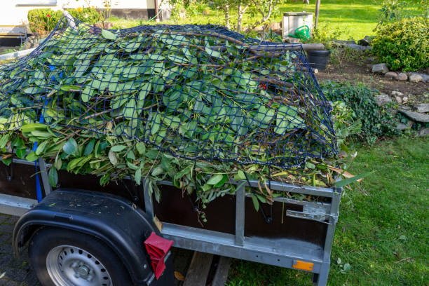 Best Shed Removal  in Man, IL